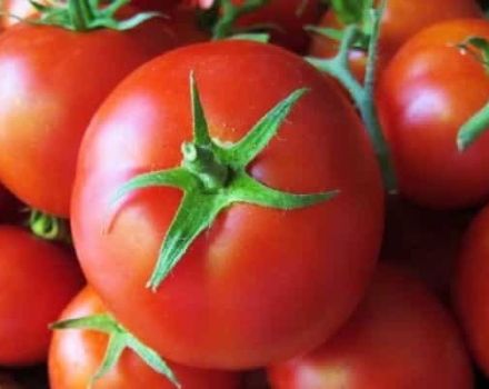 Sultono pomidorų veislės ir priežiūros ypatybių aprašymas