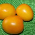 Tomaattilajikkeen Golden Eggs kuvaus ja ominaisuudet