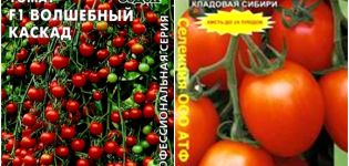 Egenskaper och beskrivning av tomatsorten Cascade, dess utbyte