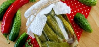 A step-by-step recipe on how to pickle cucumbers in Volgograd style for the winter and storage conditions