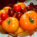 Oranžinių milžiniškų pomidorų veislės charakteristikos ir aprašymas, derlius
