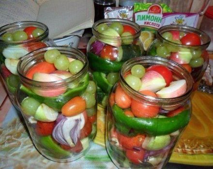 TOP 13 heerlijke recepten voor het beitsen van komkommers en tomaten voor de winter