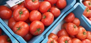 Pomidorų jautienos savybės ir aprašymas, kokia veislė, koks derlius