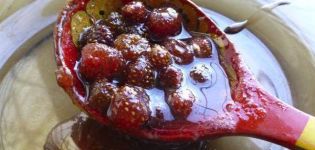 8 jednostavnih i ukusnih recepata za pekmez od šumskih jagoda za zimu