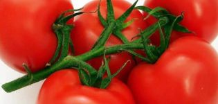 Beskrivning av den subarktiska tomatsorten, dess egenskaper och odling
