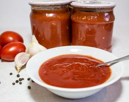 TOP 11 snabba recept på tomatketchup för vintern så slickar du fingrarna