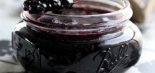 Een eenvoudig recept om zwarte bessen voor de winter te bereiden zonder suiker in zijn eigen sap