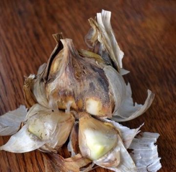 I motivi per cui l'aglio marcisce in giardino: cosa fare e come affrontarlo?