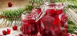 4 pinakamahusay na mga recipe para sa paggawa ng cranberry jam para sa taglamig