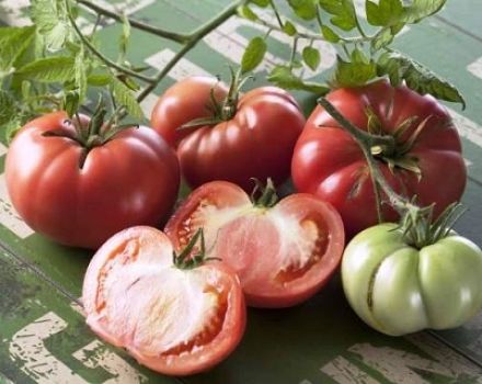 Marmandes tomātu šķirnes raksturojums un apraksts, tās raža