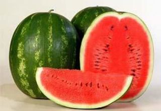 Beskrivelse og karakteristika for Karistan vandmelonsort, udbytte og dyrkning