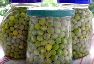 ТОП 15 рецепата за кисели зелени грашак за зиму код куће, са и без стерилизације