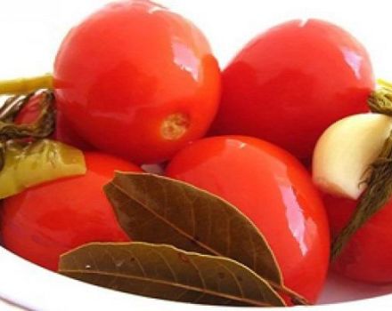 Hvor lang tid kan syltede tomater tage, og hvordan man fastlægger beredskab