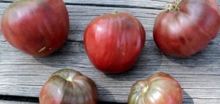 Beschrijving van het tomatenras Black Heart of Breda, kenmerken van teelt en verzorging