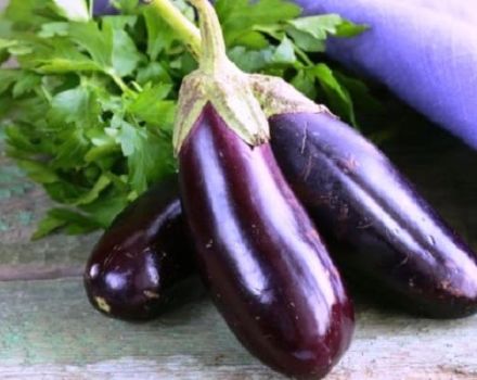What eggplant contains: chemical composition and nutritional value
