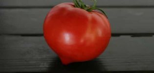 Opis sorte rajčice Perun f1, značajke uzgoja i njege