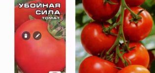 Beskrivning av tomatsorten Destruktiv kraft, dess egenskaper och utbyte