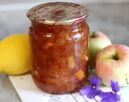 6 bästa recept för att göra äpple och citron sylt för vintern
