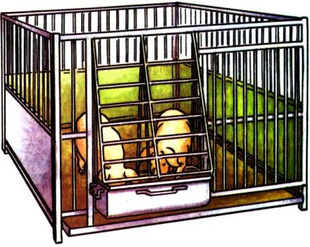 DIY instructions for making cages for pigs, dimensions and drawings
