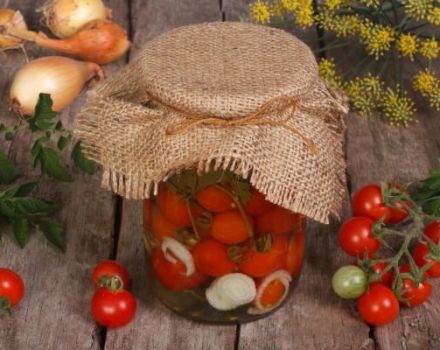 TOP 3 recepta za kisele rajčice s peršinom za zimu