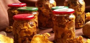 Eenvoudige stapsgewijze recepten om thuis ingelegde cantharellen voor de winter te maken