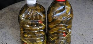 Žingsnis po žingsnio marinuotų agurkų receptai žiemai plastikiniuose buteliuose, laikymas