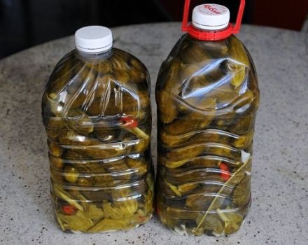 Steg för steg recept för inlagda gurkor i plastflaskor för vintern, förvaring