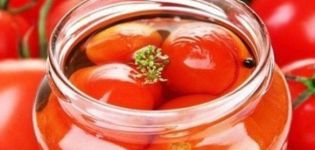 Geriausi karališkai marinuotų pomidorų receptai žiemai namuose