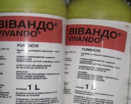 Instructies voor het gebruik van het fungicide Vivando, consumptiesnelheid en analogen