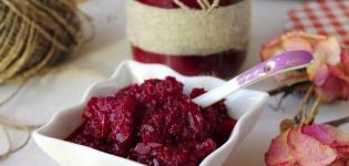 TOP 11 step-by-step recipes for making beetroot snacks for the winter