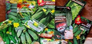 Geriausių agurkų sėklų aprašymas ir našiausių veislių įvertinimas 2020 m
