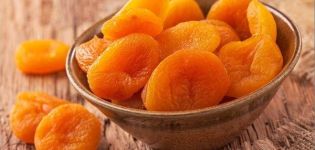 Methoden voor het oogsten van gedroogde abrikozen en hoe ze thuis te bewaren