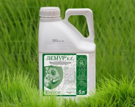 Instruktioner för användning och verkningsmekanism för Lemur herbicid