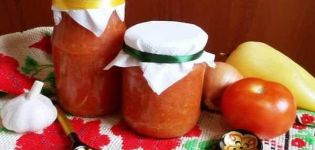12 recepten voor het maken van adjika van courgette voor de winter waar je je vingers bij aflikt