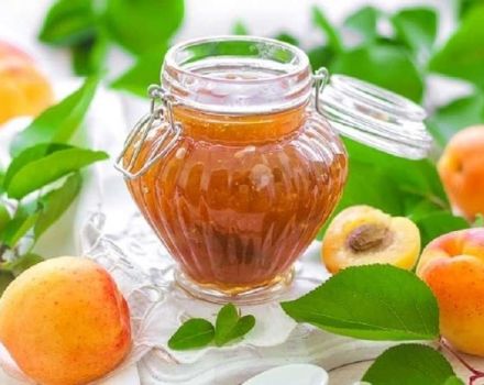 Jednoduchý recept na výrobu meruňkového džemu doma na zimu