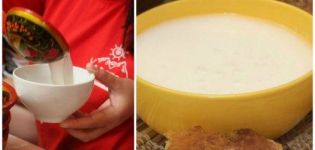 Cómo hacer kumis con leche de cabra en casa y vida útil.