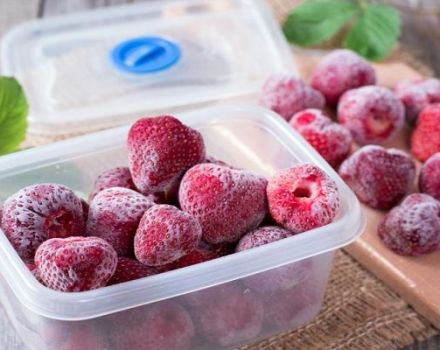 What fruits and berries can be frozen at home for the winter