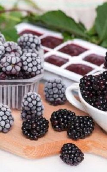 How to properly store fresh blackberries, drying berries and shelf life