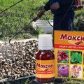Instructies voor het gebruik van fungicide Maxim en hoe het werkt