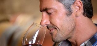 Зашто домаће вино мирише на кашу, како уклонити мирис квасца и начине чишћења