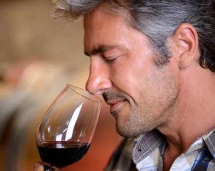Zašto domaće vino miriše na kašu, kako ukloniti miris kvasca i metode čišćenja