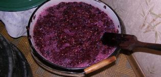 Paprastas žingsnis po žingsnio receptas, kaip namuose pasigaminti šviežio vynuogių vyno
