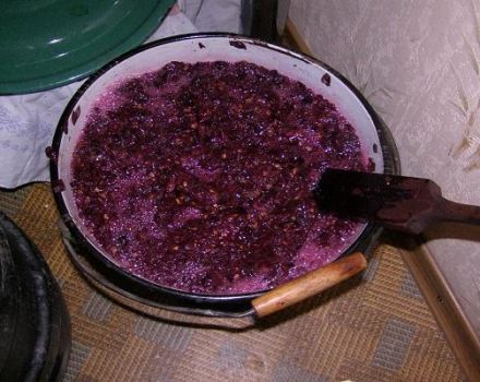 Een eenvoudig stap-voor-stap recept om thuis verse blauwe druivenwijn te maken