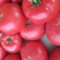 Kenmerken en beschrijving van de tomatenvariëteit Frambozenreus, de opbrengst