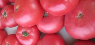 Características y descripción de la variedad de tomate Raspberry giant, su rendimiento