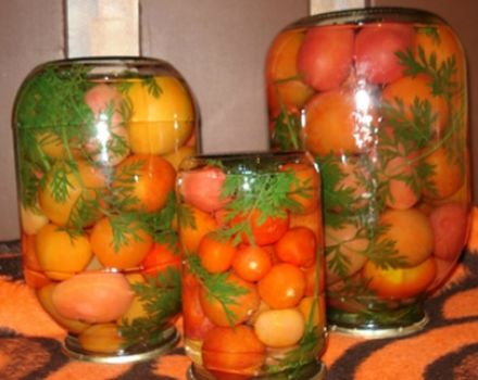 Opskrifter til madlavning af tomater med gulerodstopper til vinteren