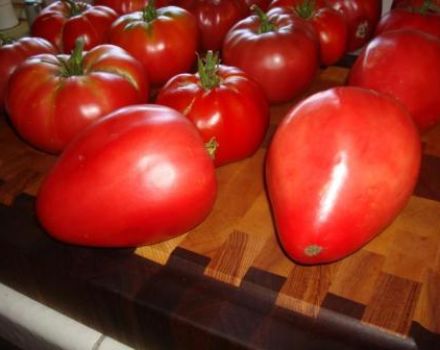 Características y descripción de la variedad de tomate Mazarin, su rendimiento.