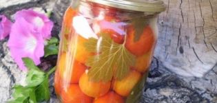 15 recettes faciles étape par étape pour mariner les tomates pour l'hiver dans des bocaux