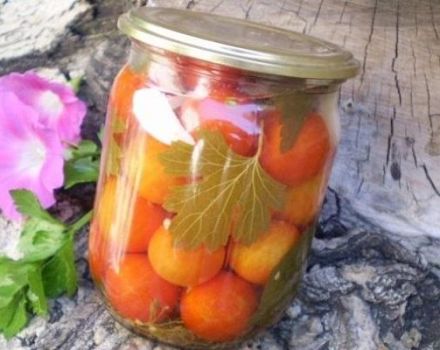 15 paprastų žingsnis po žingsnio receptų, kaip marinuoti pomidorus žiemai stiklainiuose