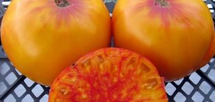 Beskrivning och odling av tomatvariant Virginia Candy